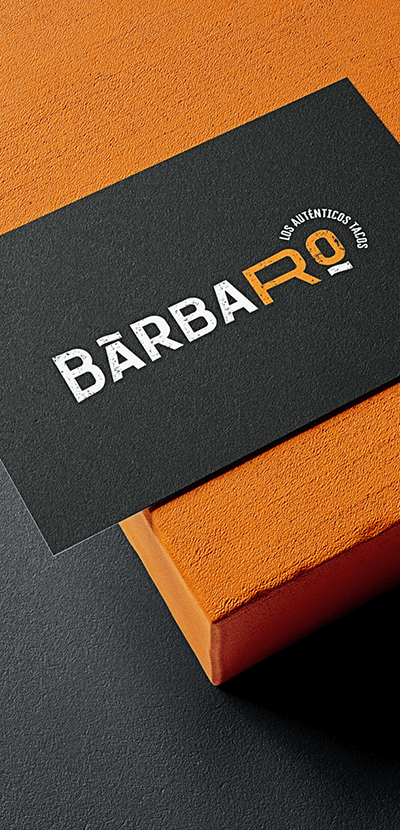 Portfolio 400×830- BarbaRo